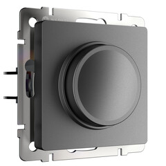 Диммер (графит матовый) W1142064, фото 