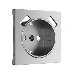 Накладка для розетки USB  (серебряный матовый) W1179565, фото 