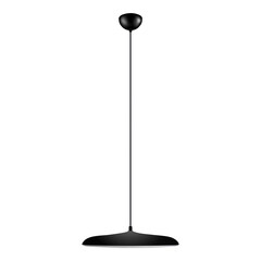 10119 Black Подвесной светильник LOFT IT Plato, фото 