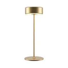 Аккумуляторный светильник Maytoni MOD229TL-L3G3K2, фото 