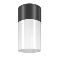 Потолочный светильник Outdoor O418CL-01B, фото 