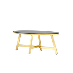 100*50 АЛЬБА золото стекло черное закаленное каркас нержавеющая сталь, фото 