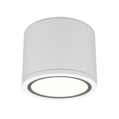 Потолочный светильник Technical C095CL-GX53-W, фото 