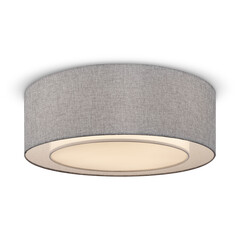 Потолочный светильник Maytoni MOD613CL-04GR, фото 