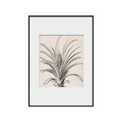 Интерьерный постер “Pineapple”, фото 