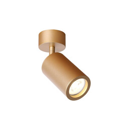 Потолочный светильник Favourite Angularis 2802-1U, фото 