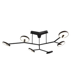 Потолочная люстра Favourite Paritet 4401-6C, фото 