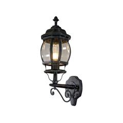 Уличный светильник Favourite Paris 1806-1W, фото 