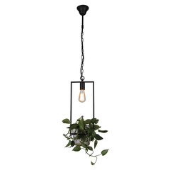 Подвес Favourite Situla 1975-1P, фото 