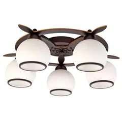 Потолочная люстра Omnilux OML-50507-05, фото 