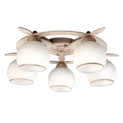 Потолочная люстра Omnilux OML-50517-05, фото 