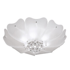 Потолочный светильник Lightstar Lobo 804020, фото 