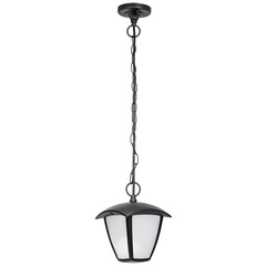 Уличный светодиодный светильник Lightstar Lampione 375070, фото 