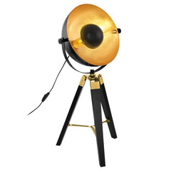 Настольная лампа Eglo Covaleda 49617, фото 