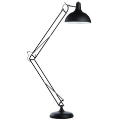 Торшер Arte Lamp Goliath A2487PN-1BK, фото 