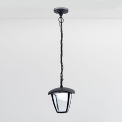 Уличный подвесной светодиодный светильник Citilux CLU04P, фото 