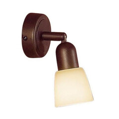 Спот Citilux Ронда CL506514, фото 