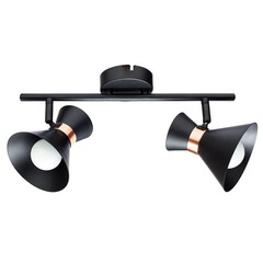 Спот Arte Lamp Baltimore A1406AP-2BK, фото 