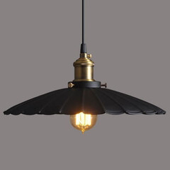 Подвесной светильник Loft IT Loft1101, фото 