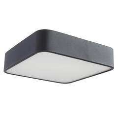 Потолочный светильник Arte Lamp Cosmopolitan A7210PL-2BK, фото 