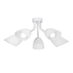 Потолочная люстра Vitaluce V3184/5PL, фото 