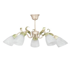 Потолочная люстра Vitaluce V1535/5PL, фото 