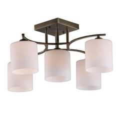 Потолочная люстра Omnilux Pisticci OML-55317-05, фото 