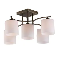 Потолочная люстра Omnilux Pisticci OML-55317-05, фото 