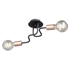 Потолочная люстра Vitaluce V4560-1/2PL, фото 