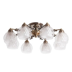 Потолочная люстра Arte Lamp Malina A7695PL-8AB, фото 