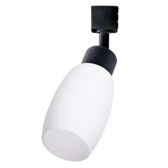 Трековый светильник Arte Lamp Miia A3055PL-1BK, фото 