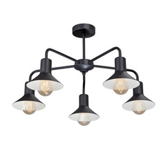 Потолочная люстра Vitaluce V4805-1/5PL, фото 