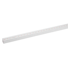 Светильник для растений, фитолампа светодиодная линейная ЭРА FITO-14W-Т5-N красно-синего спектра 14 Вт Т5, фото 