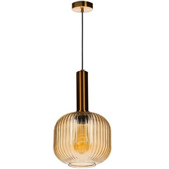 Подвесной светильник Loft IT 2071-B+BR, фото 