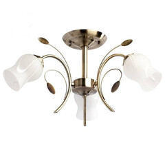 Потолочная люстра MW-Light Флора 256018103, фото 