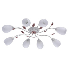 Потолочная люстра MW-Light Восторг 242016508, фото 