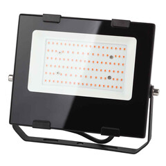 Фитопрожектор для растений светодиодный ЭРА FITO-50W-RB-LED для цветения и плодоношения красно-синего спектра 50 Вт, фото 