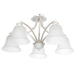 Потолочная люстра Arte Lamp Emma A2713PL-5WG, фото 