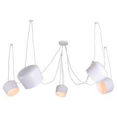 Подвесная люстра Lussole Loft Shirley GRLSP-8175, фото 