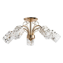 Потолочная люстра MW-Light Олимпия 638010105, фото 