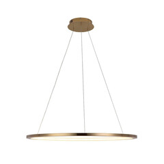 Подвесной светодиодный светильник Loft IT Ring 10014L, фото 