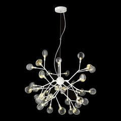 Подвесная люстра Wertmark Fiorita WE241.36.003, фото 