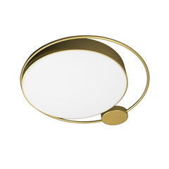 Потолочный светодиодный светильник Loft IT Mike 10063, фото 