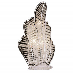 Бра Lightstar 705634, фото 