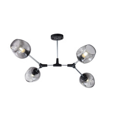 Потолочный светильник Freya FR5006CL-04B, фото 