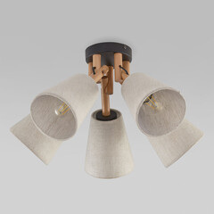 Потолочный светильник 575 Vaio Nature, фото 