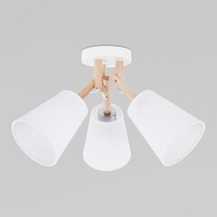 Потолочный светильник 665 Vaio 3, фото 