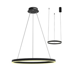 08212,19A(4000K) Подвес Тор черный d40, фото 