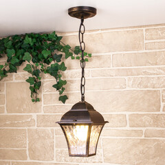 Apus H черное золото уличный подвесной светильник IP33 GL 1009H, фото 