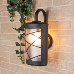 Premier D уличный настенный светильник GL 1017D, фото 